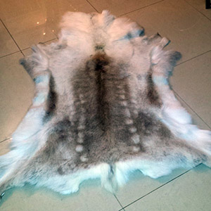 Leather reindeer rug tannery wholesale leather manufacturer