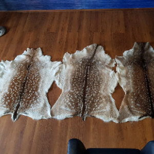Leather fallow deer rug tannery manufacturer skins wholesale