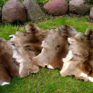 Deer roe skin rug tannery factory leather wholesale skins