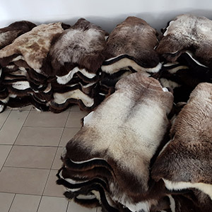Tannery Sheepskins rugs manufacturer skins wholesale leather