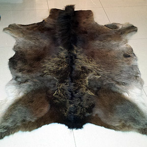 Leather cow rug tannery manufacturer leather wholesale skins